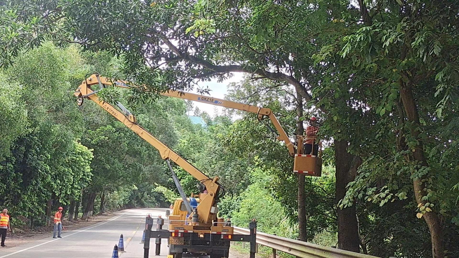 郁南縣公路事務(wù)中心未雨綢繆防臺(tái)風(fēng)清理危樹(shù)除隱患（新）(1)（副本）.doc_2